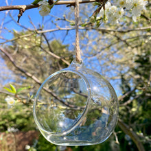 Load image into Gallery viewer, Hanging Glass Bauble