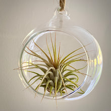 Load image into Gallery viewer, Hanging Glass Bauble