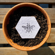 Load image into Gallery viewer, Bee Friendly Hexagons | Plantable Seed Paper
